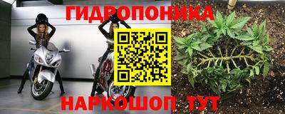 прущий лед Новозыбков
