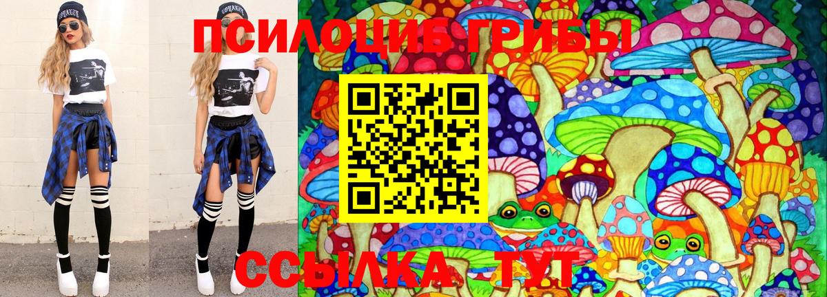 где можно купить наркотик  Галлюциногенные грибы прущие грибы  Вход с VPN  Шебекино 